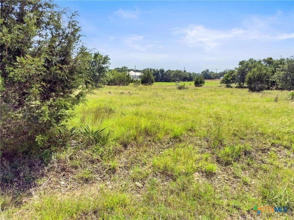 0.6 acres in Blanco County - photo 7