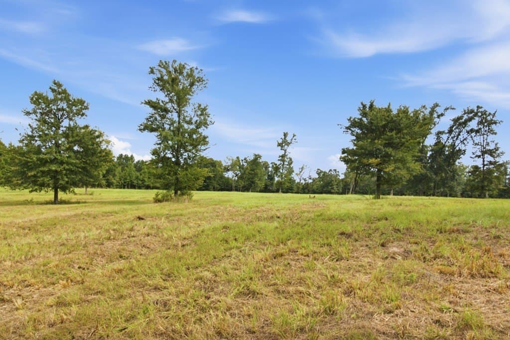87.38 acres in Texas County gallery image 4