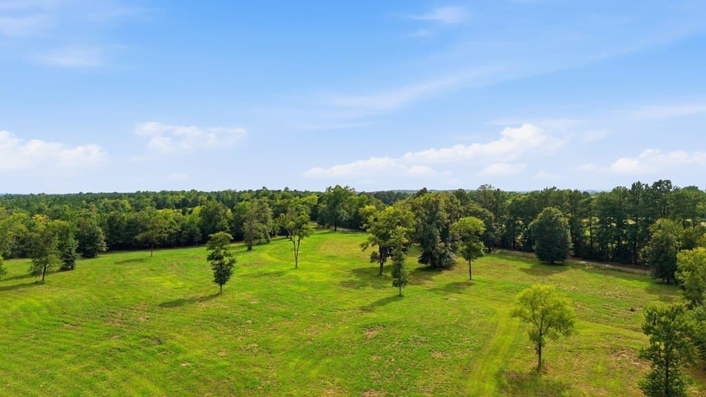 87.38 acres in Texas County gallery image 2