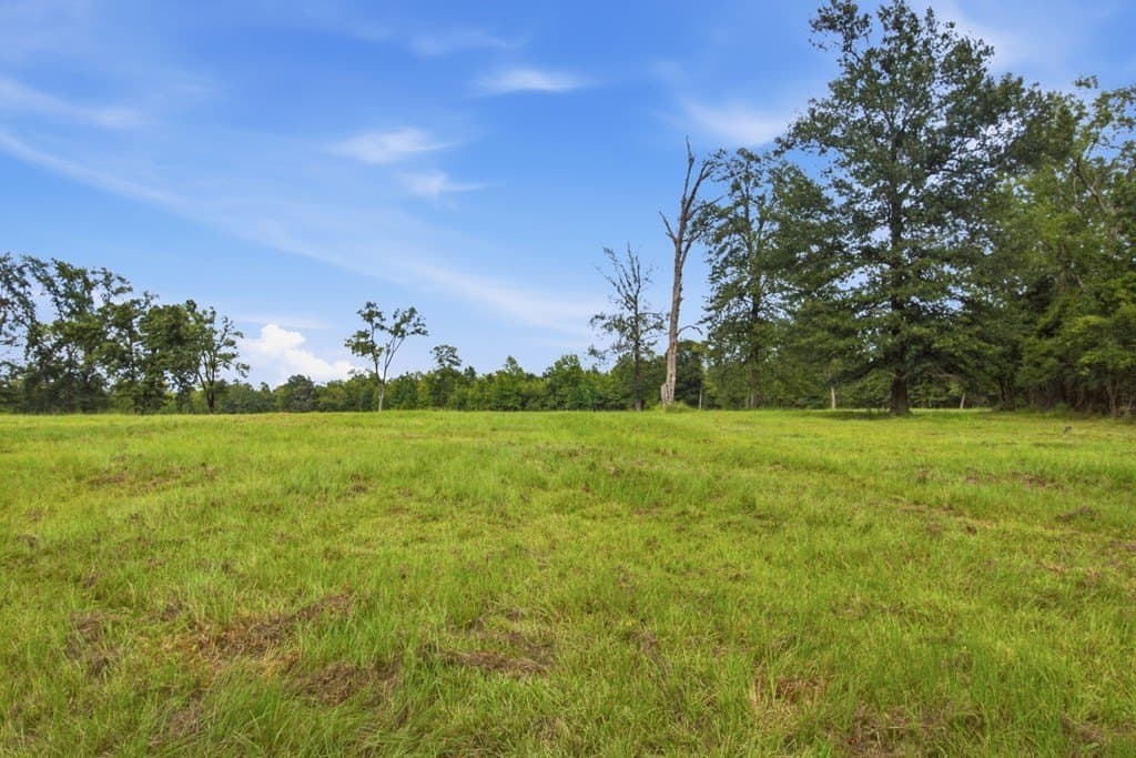 87.38 acres in Texas County featured view