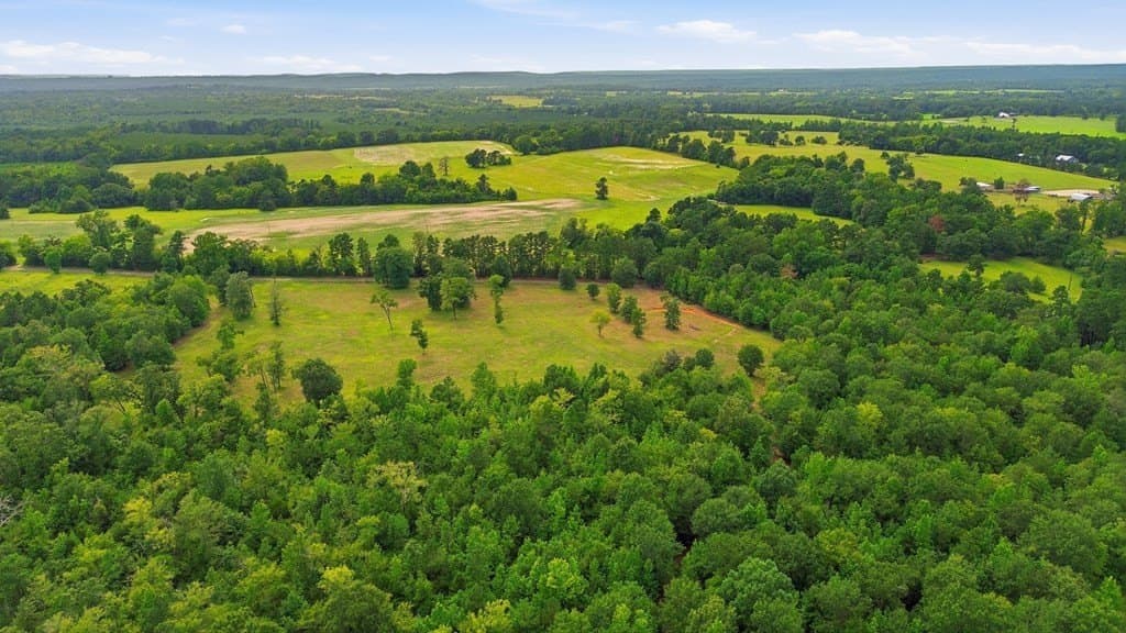 87.38 acres in Texas County gallery image 3