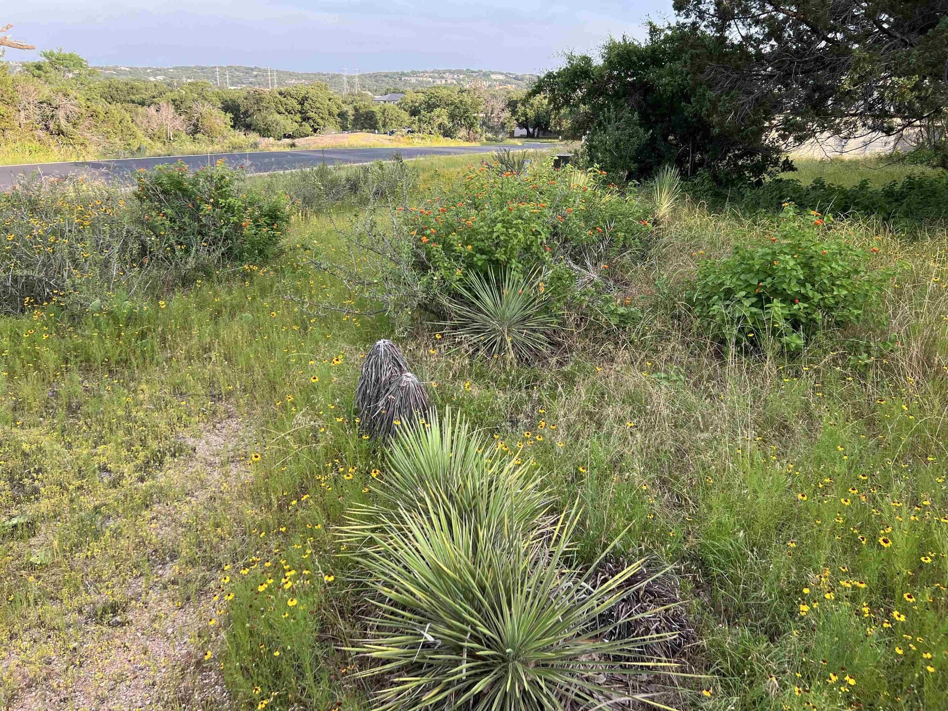 0.22 acres in Llano County featured view