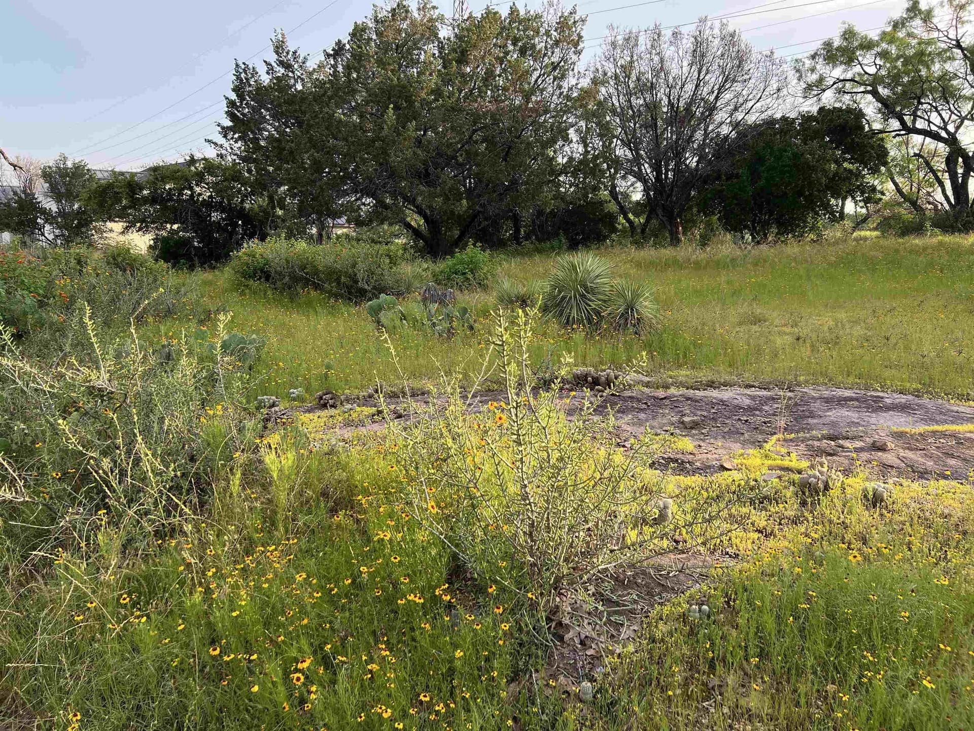 0.22 acres in Llano County gallery image 3