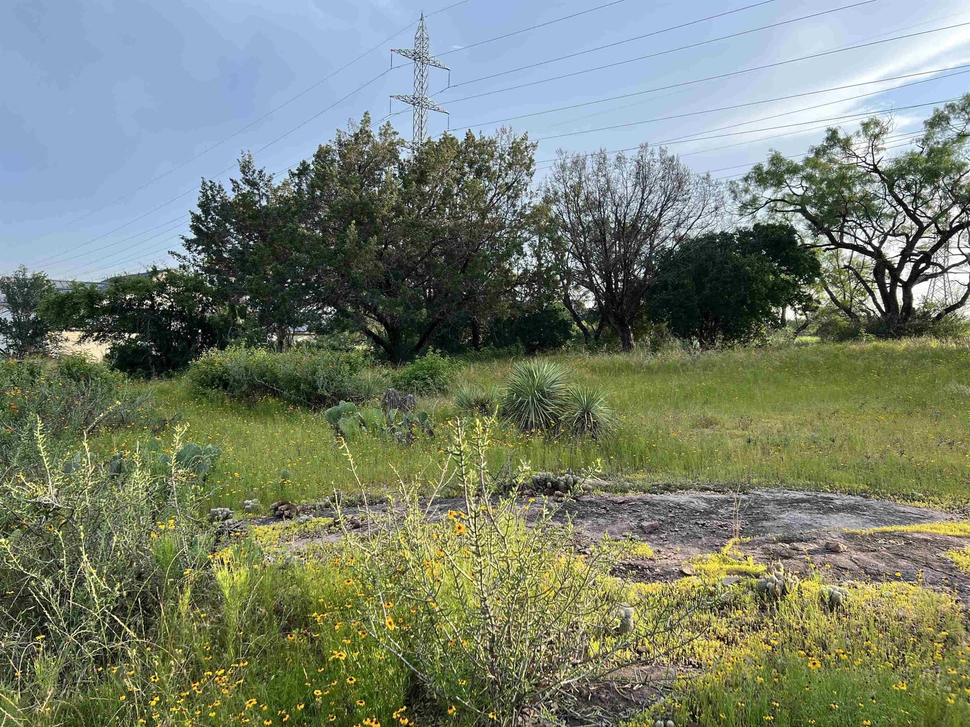0.22 acres in Llano County gallery image 2
