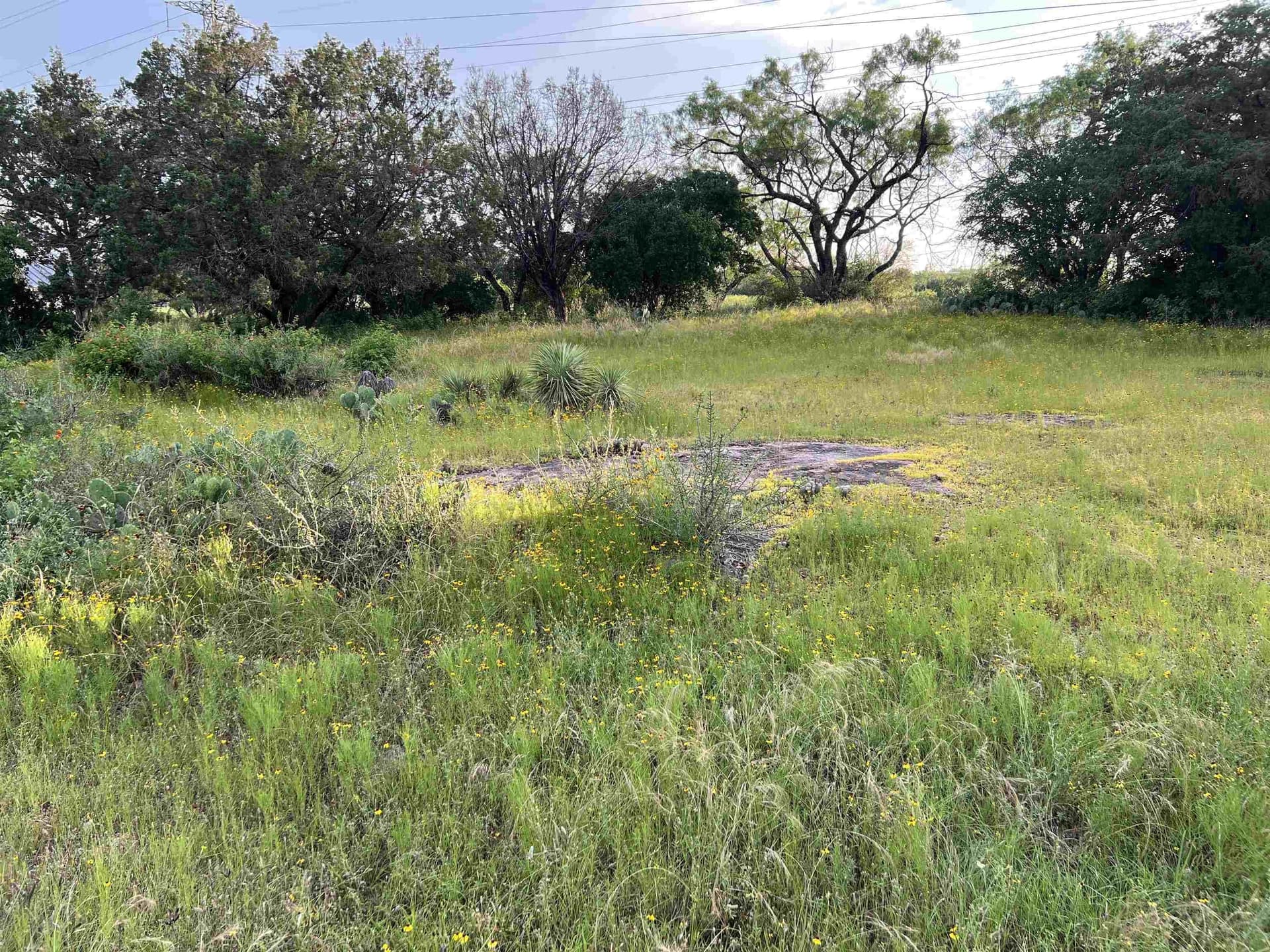 0.22 acres in Llano County - photo 9