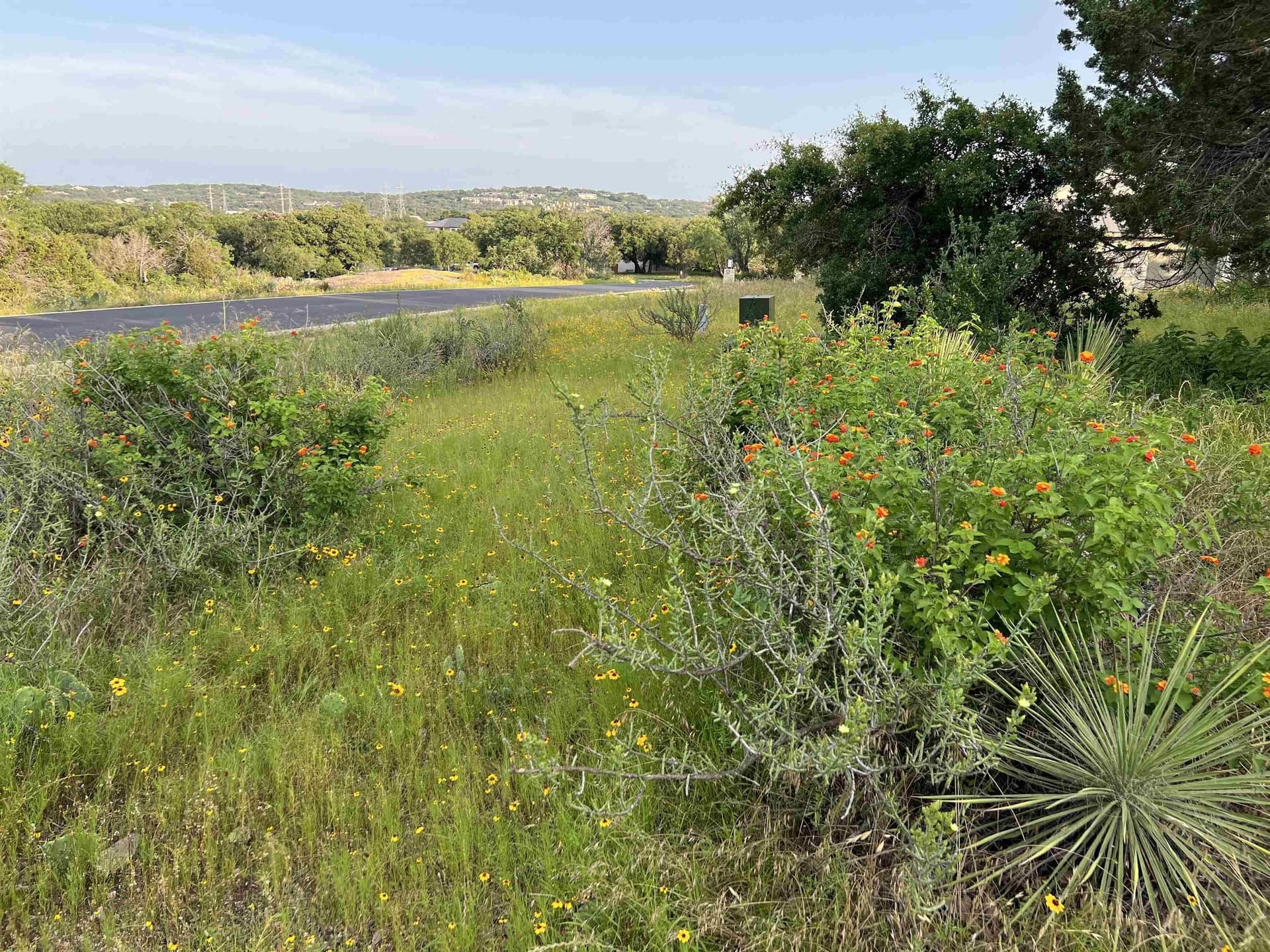 0.22 acres in Llano County - photo 6