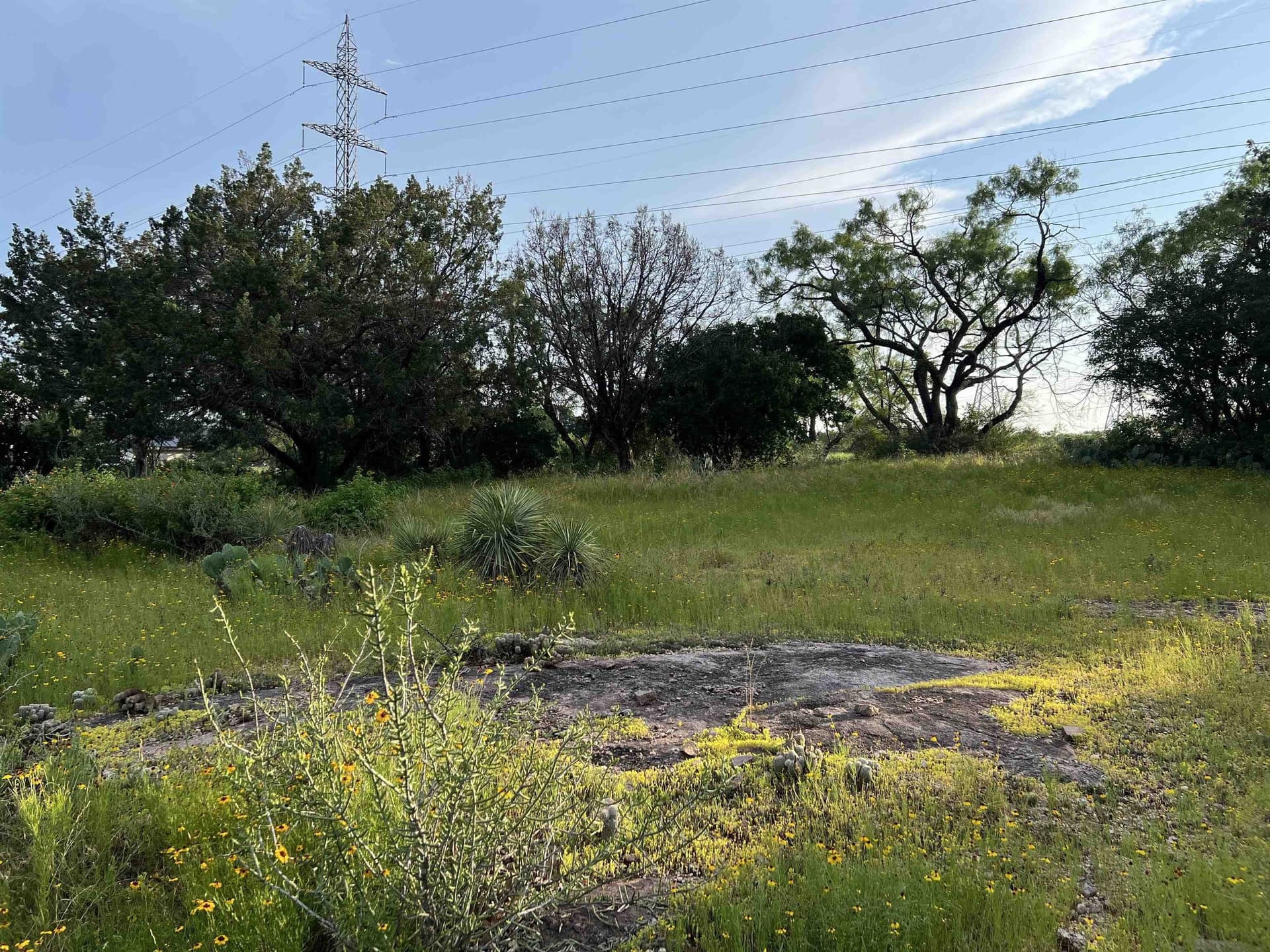 0.22 acres in Llano County gallery image 4