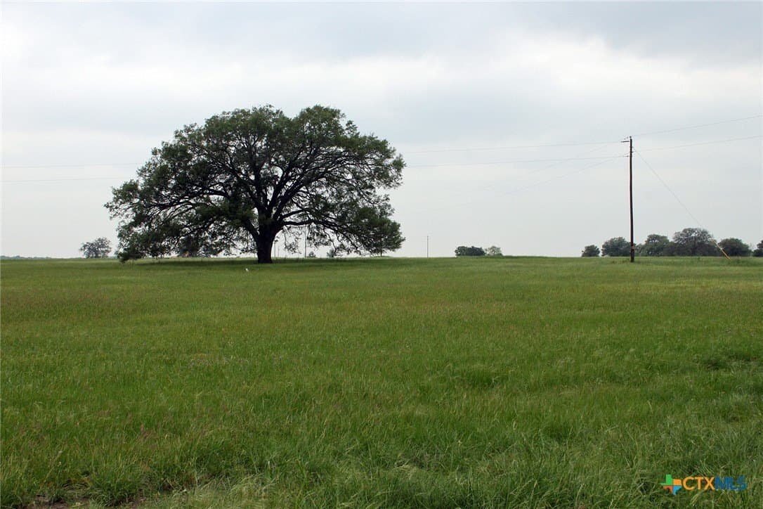 36.02 acres in Caldwell County - photo 13