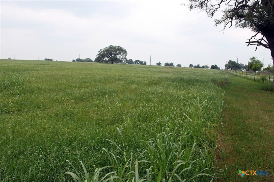 36.02 acres in Caldwell County - photo 10