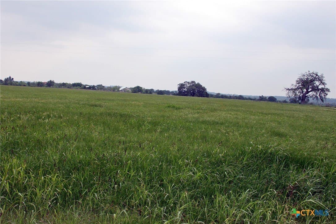 36.02 acres in Caldwell County gallery image 4