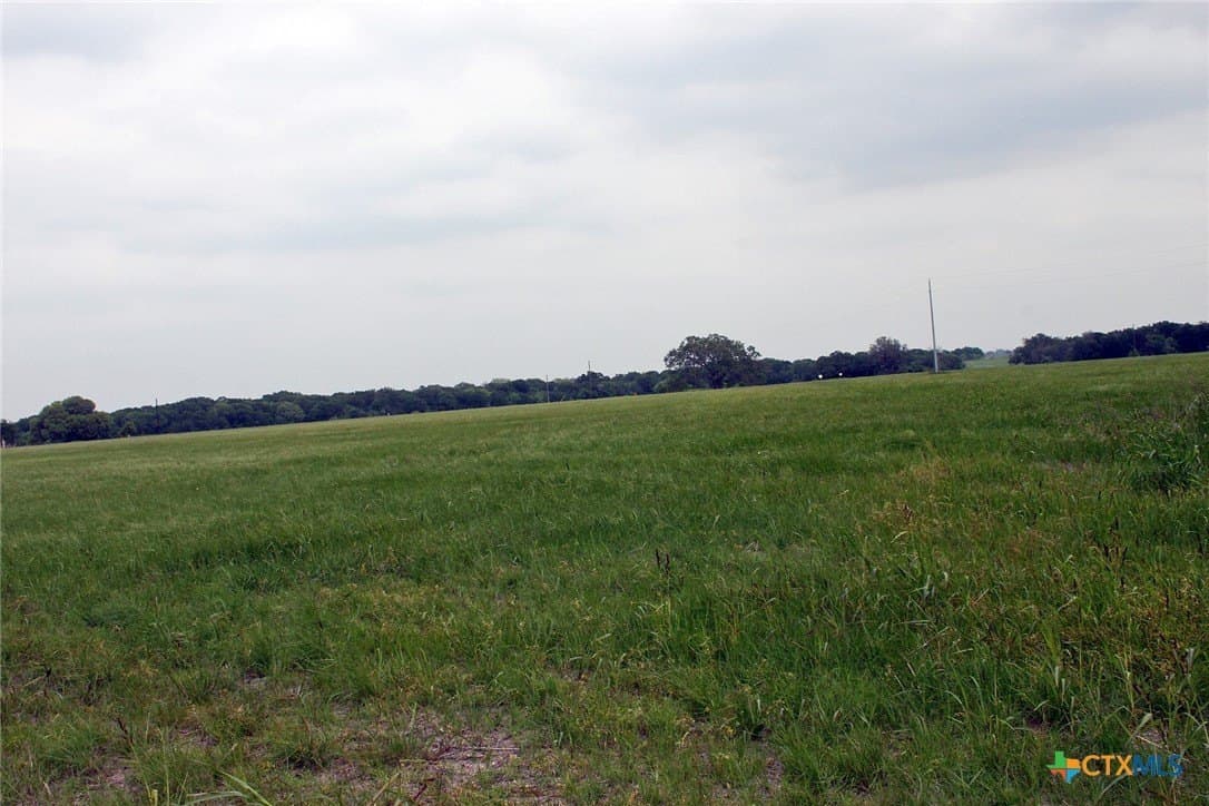 36.02 acres in Caldwell County gallery image 3