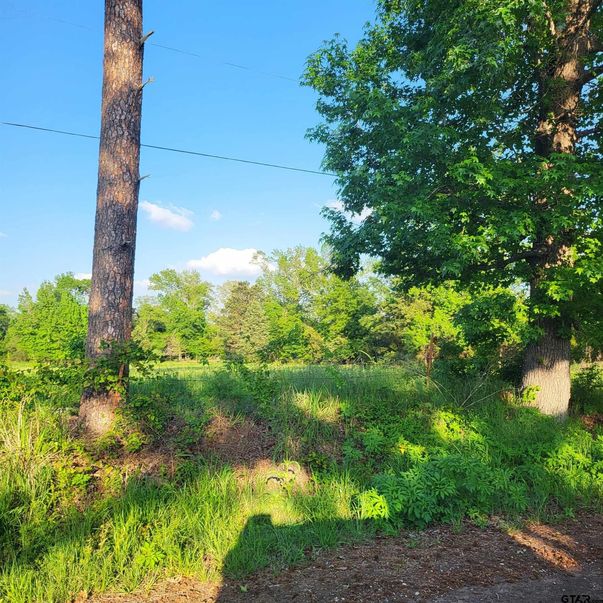 10.01 acres in Smith County featured view