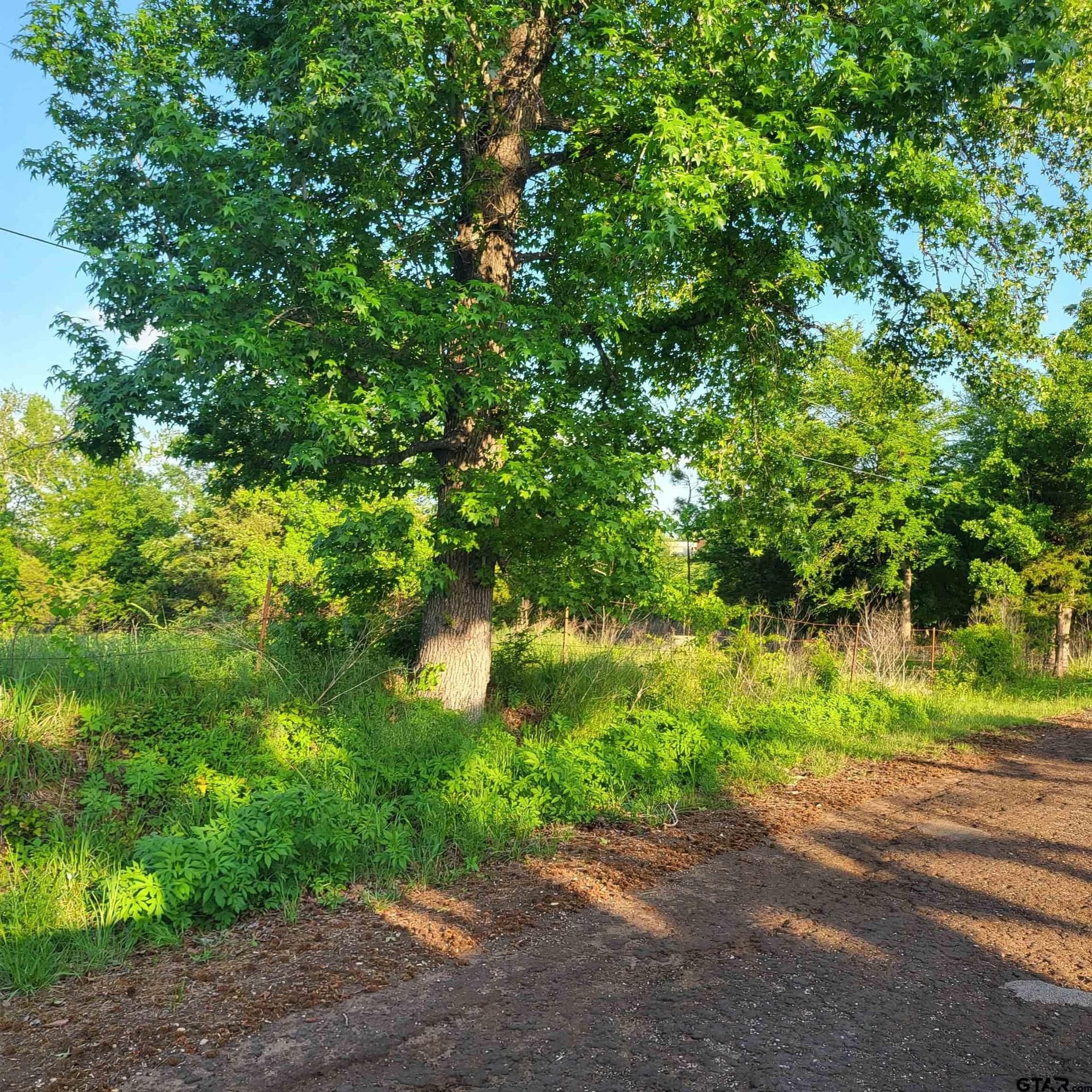 10.01 acres in Smith County gallery image 4