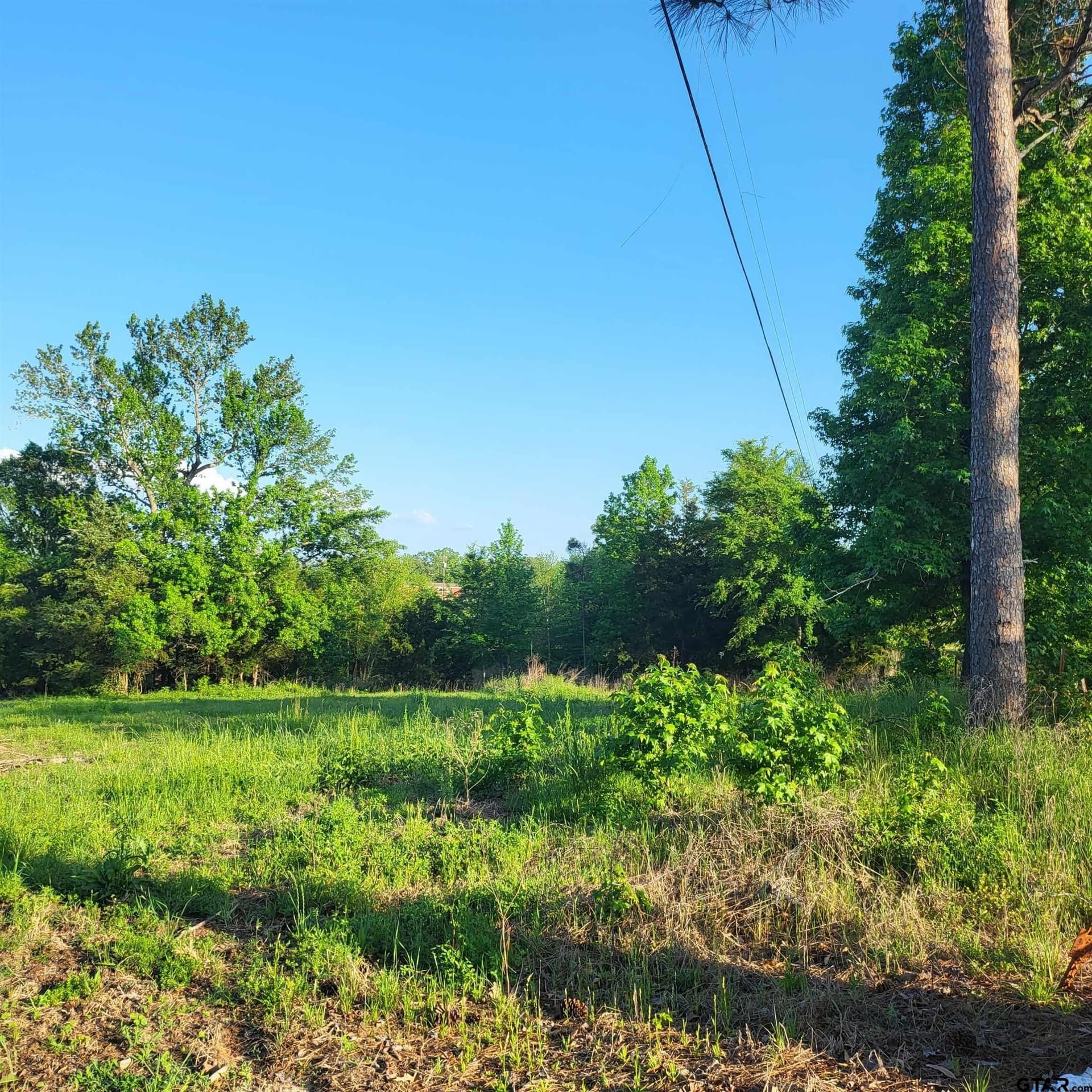 10.01 acres in Smith County gallery image 2