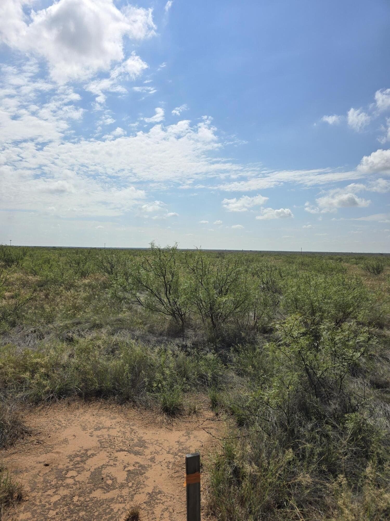 10.01 acres in Andrews County - photo 5