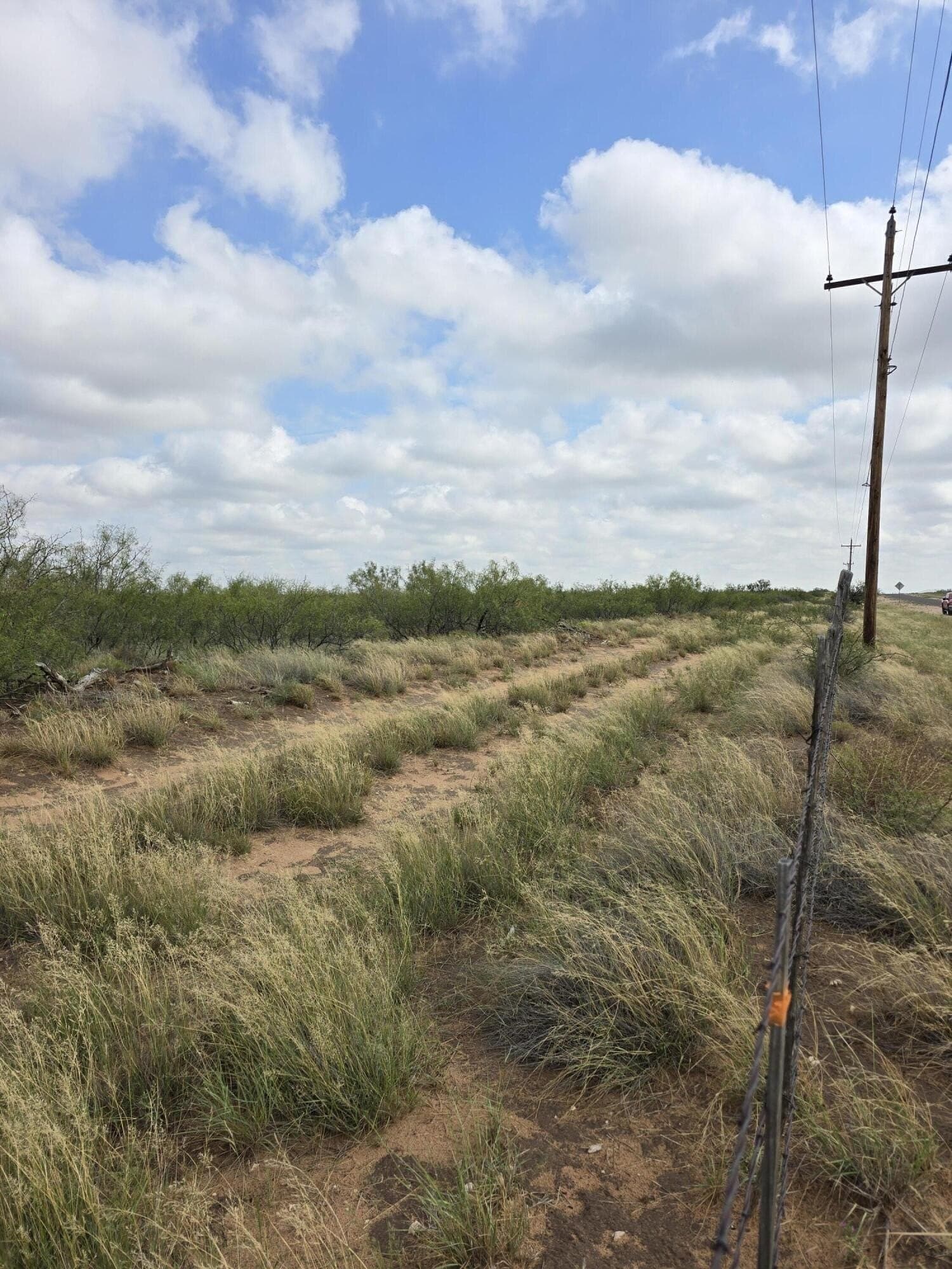 10.01 acres in Andrews County - photo 2