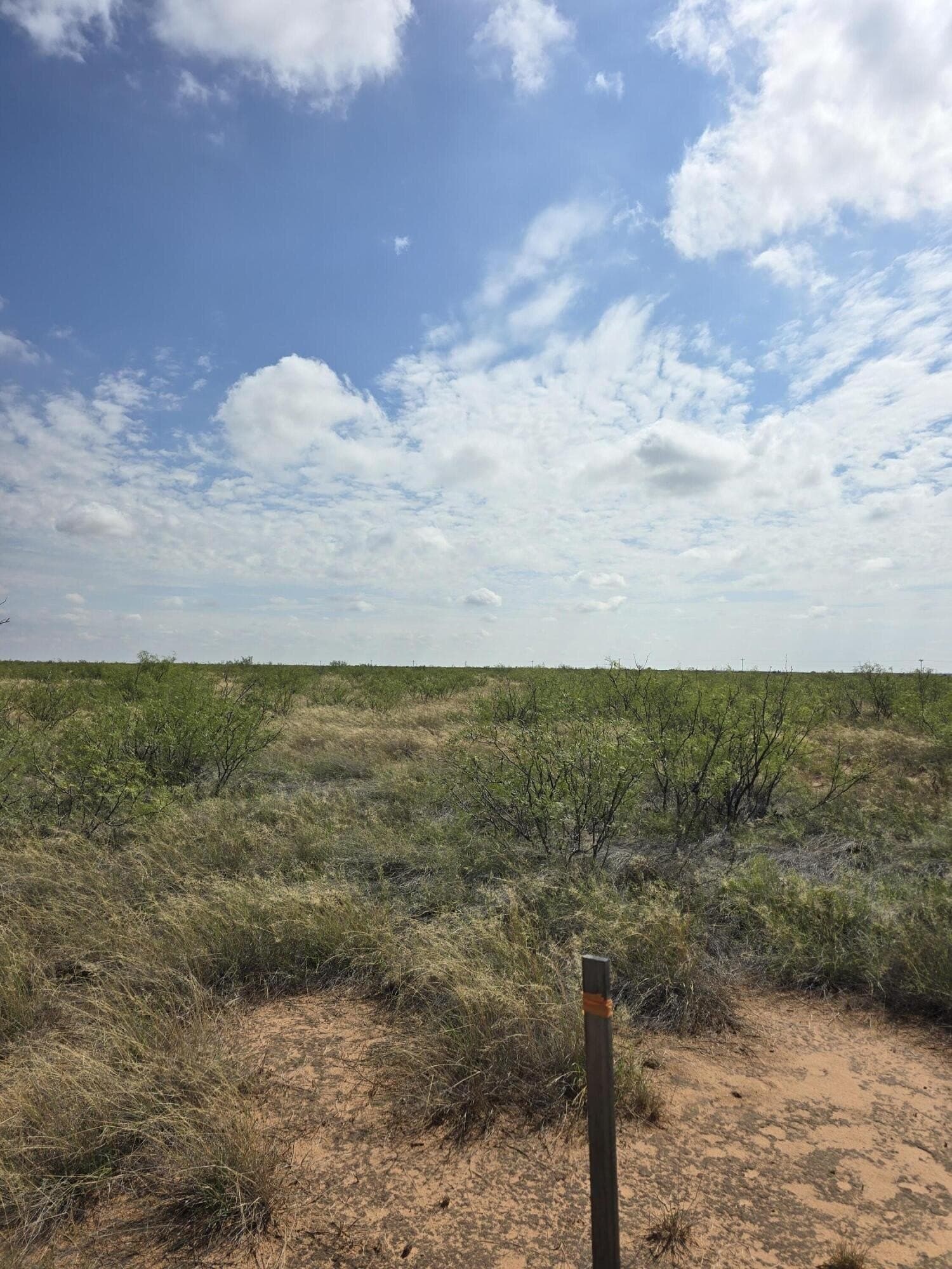 10.01 acres in Andrews County - photo 4