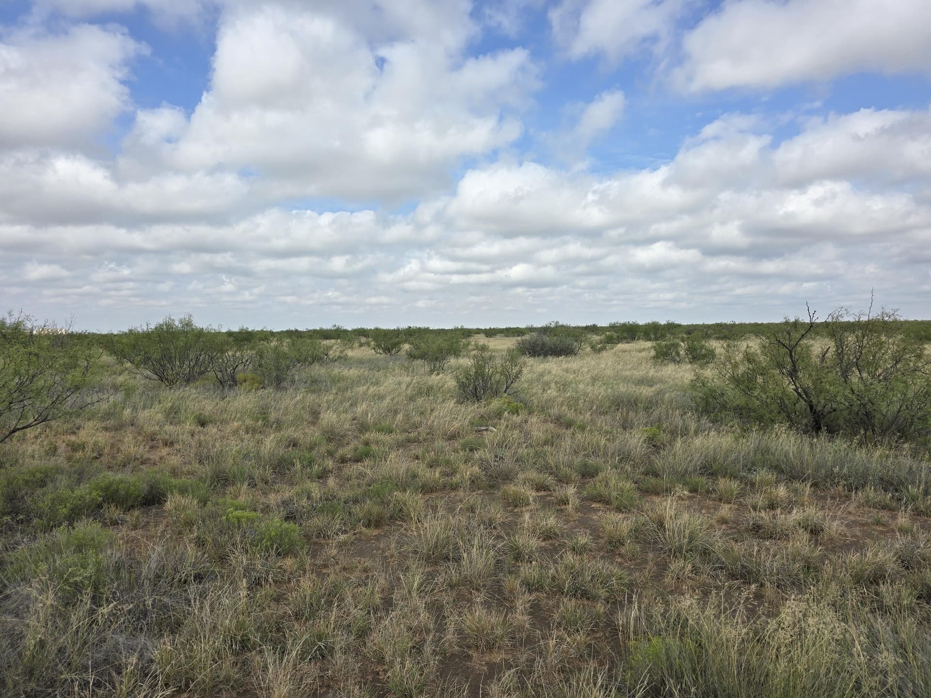 10.01 acres in Andrews County