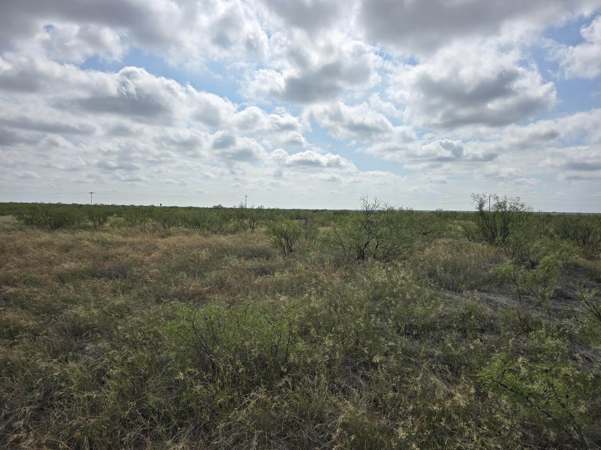 10.01 acres in Andrews County - photo 3