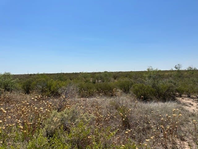 35.33 acres in Ector County gallery image 3