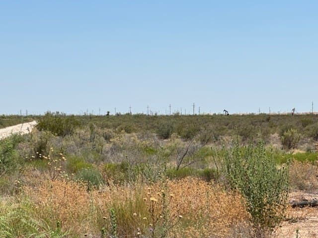 35.33 acres in Ector County gallery image 2