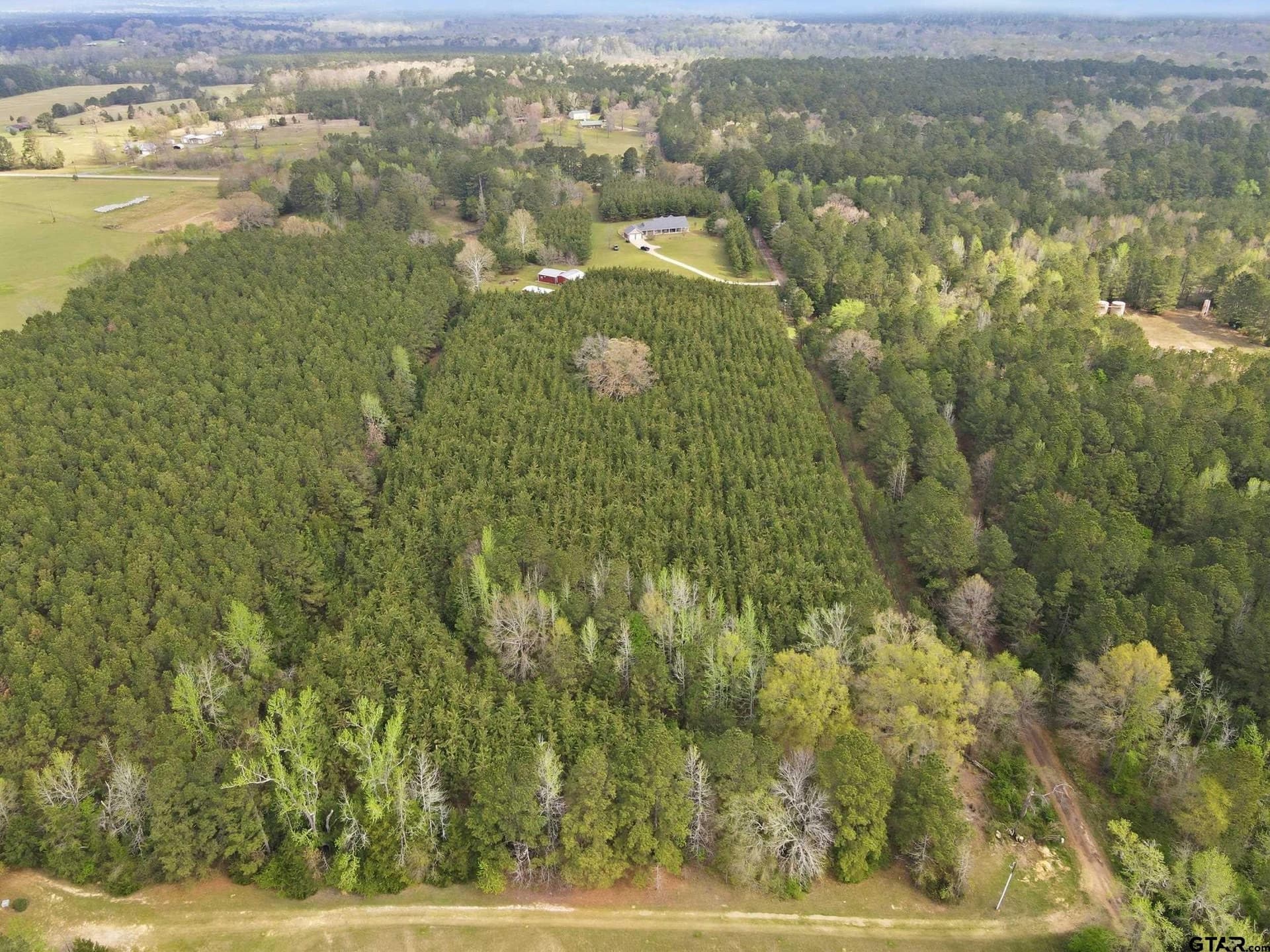 16.9 acres in Cass County - photo 29