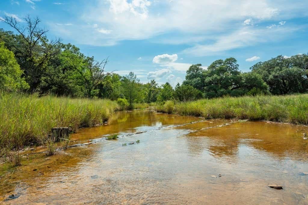 90 acres in Kendall County - photo 9
