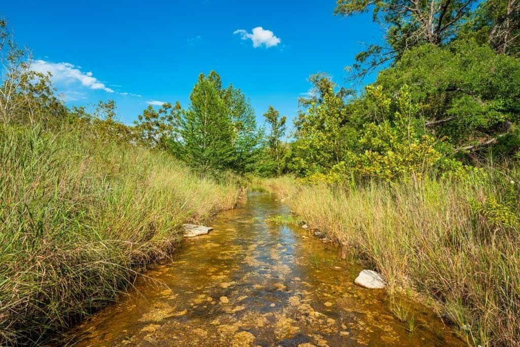 90 acres in Kendall County - photo 11