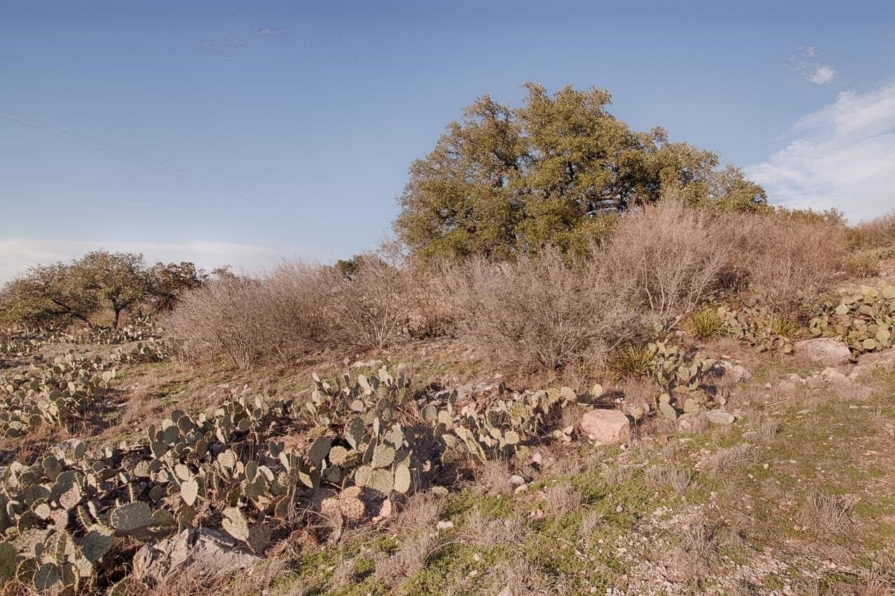 0.23 acres in Llano County gallery image 3