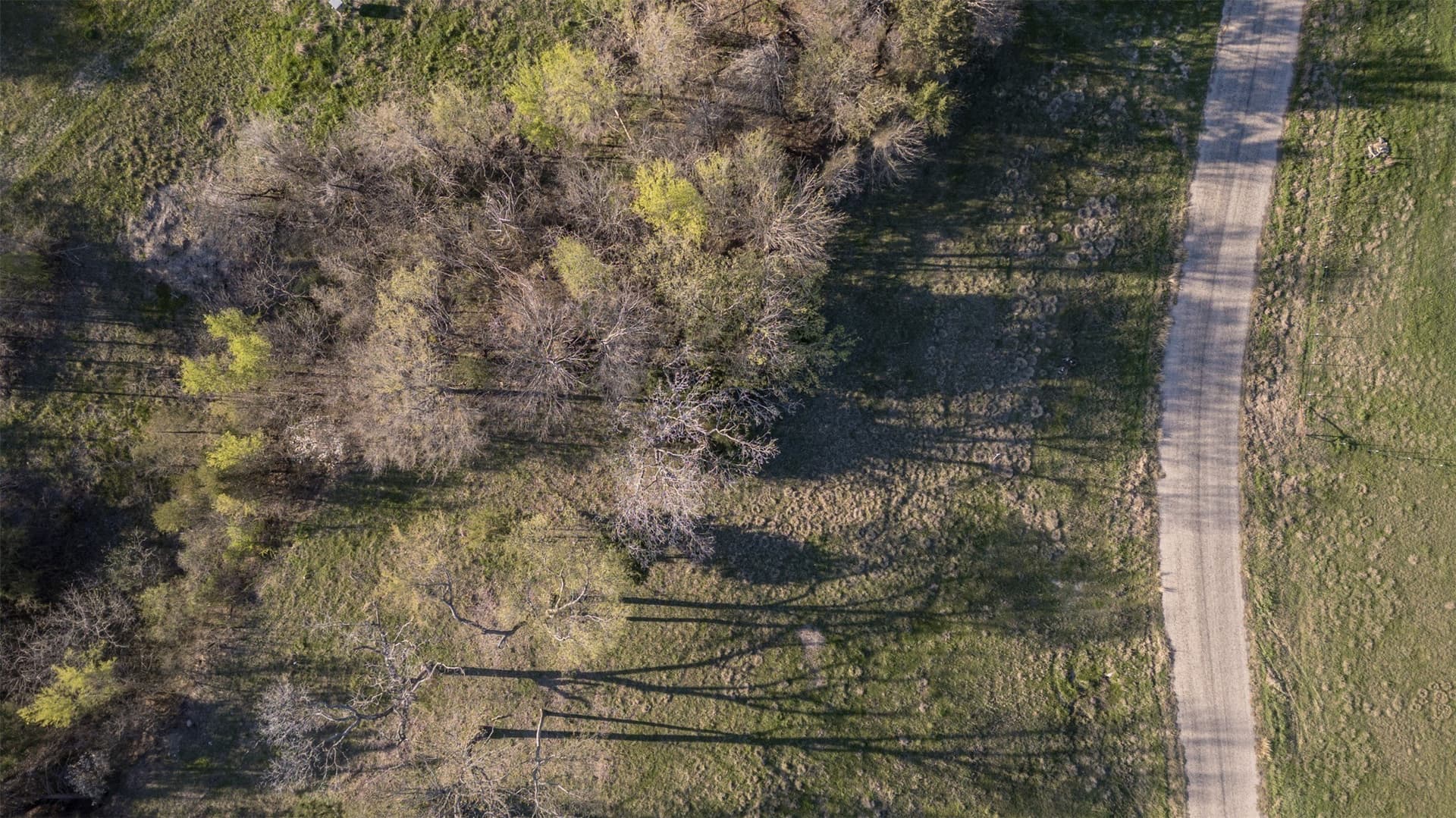 0.64 acres in Hunt County - photo 12