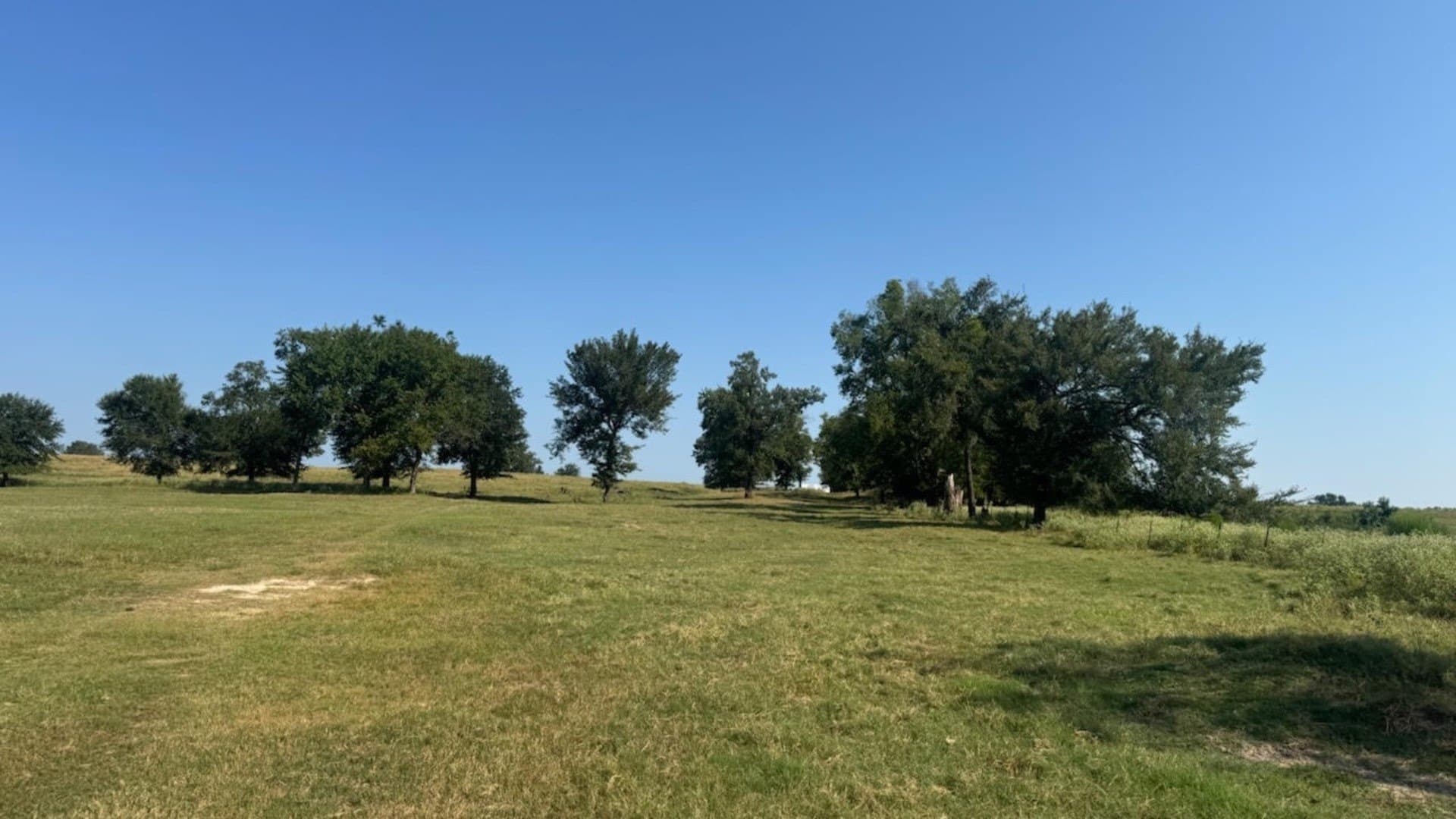 362 acres in Franklin (TX) County - photo 40