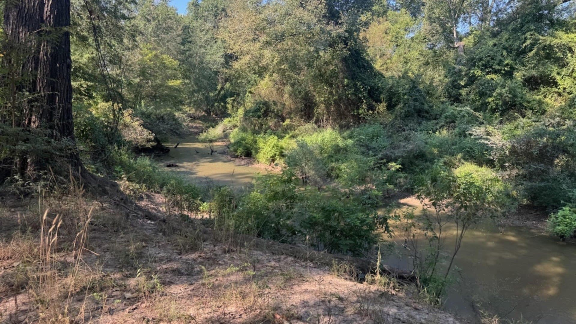 362 acres in Franklin (TX) County - photo 39