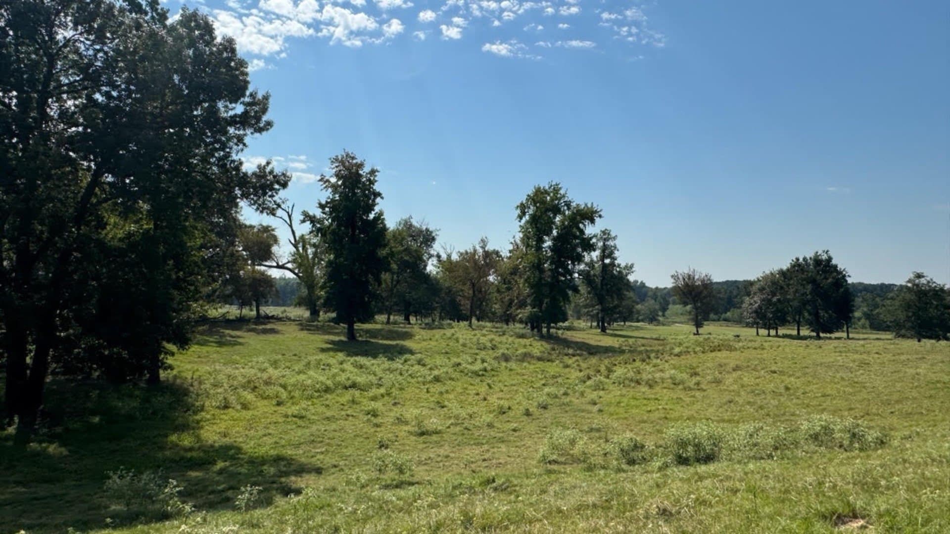 362 acres in Franklin (TX) County - photo 18
