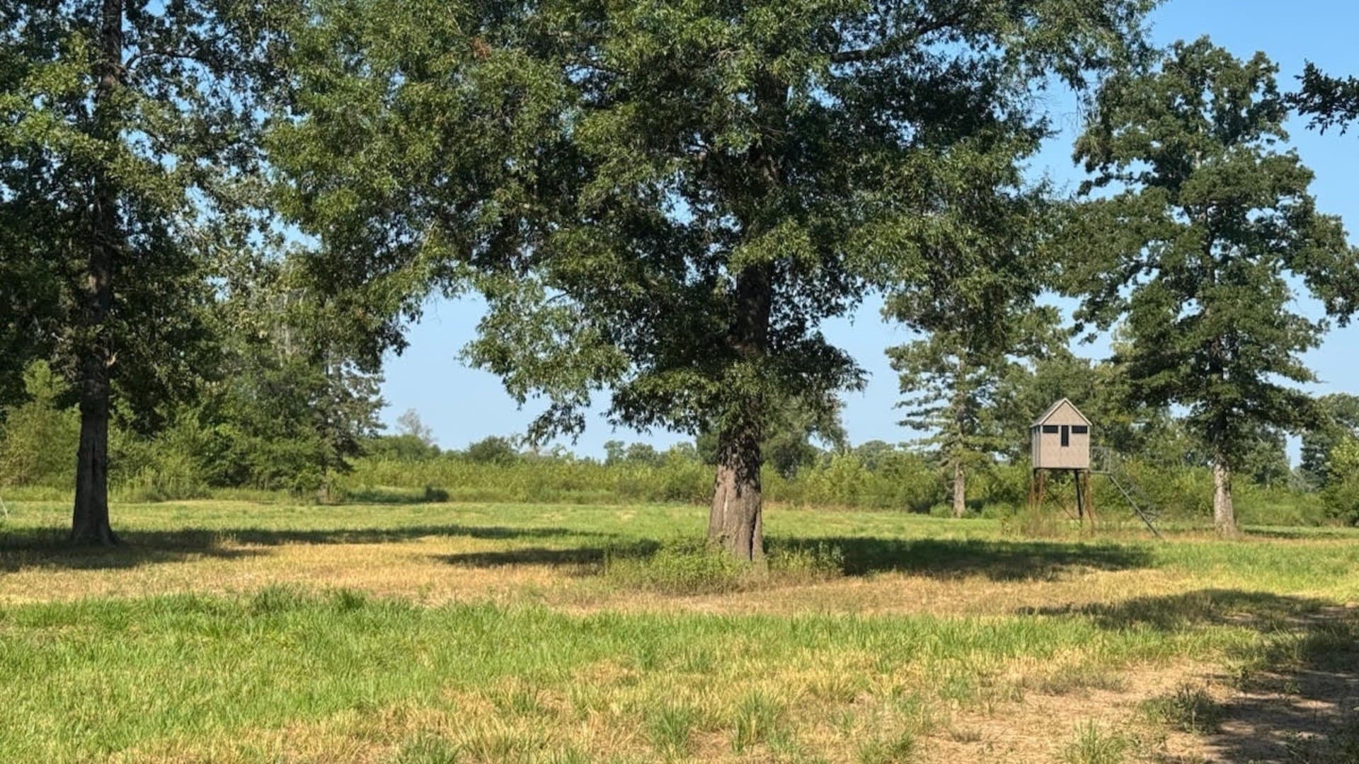 362 acres in Franklin (TX) County - photo 22