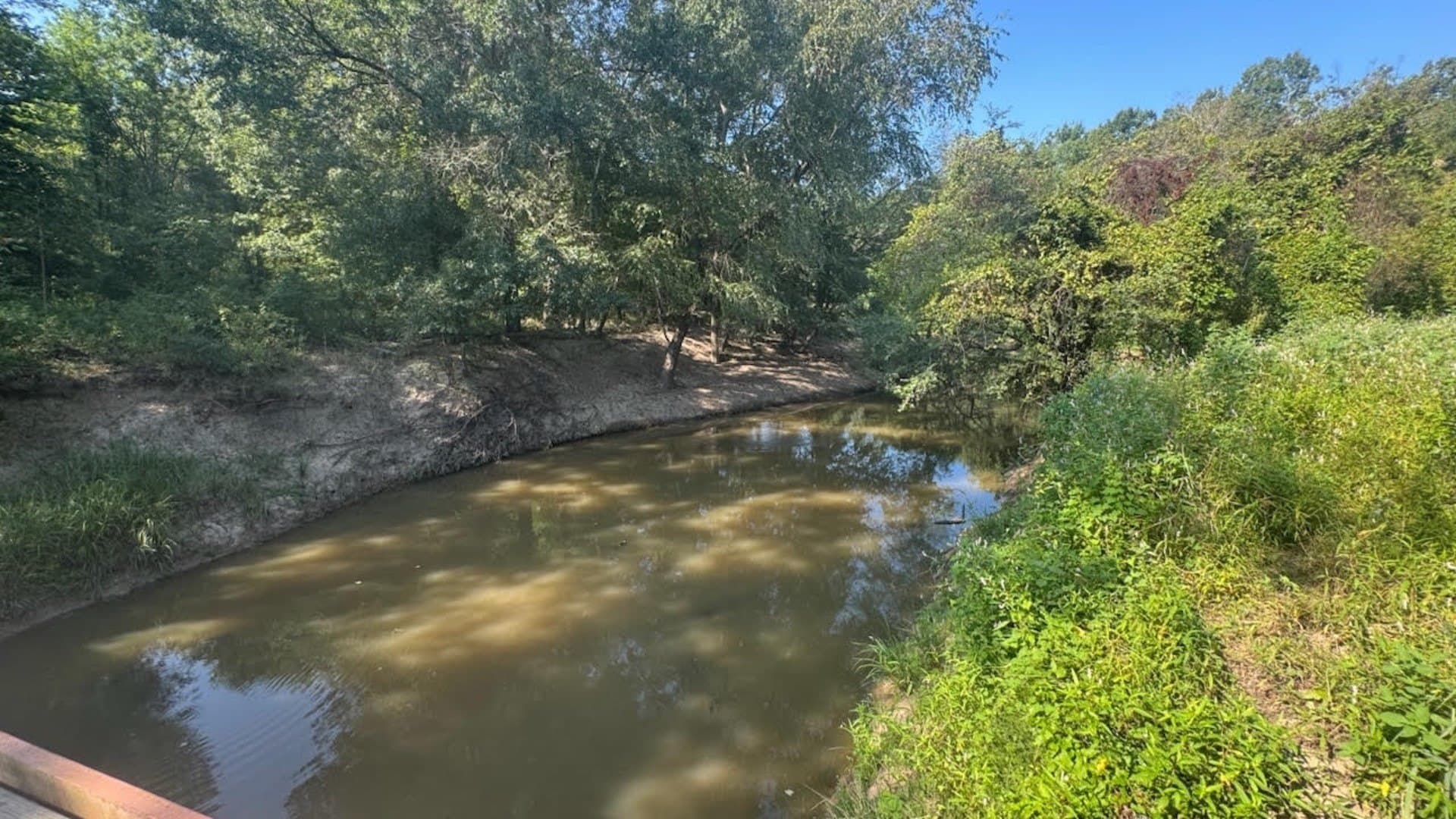 362 acres in Franklin (TX) County - photo 5