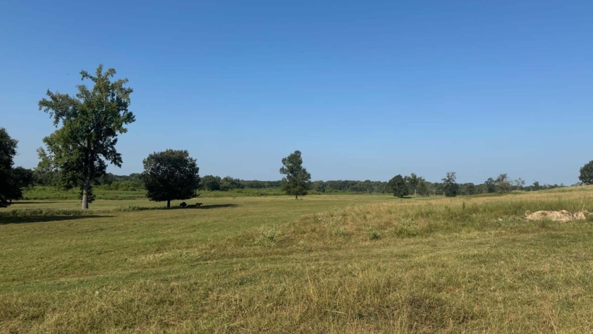 362 acres in Franklin (TX) County - photo 25