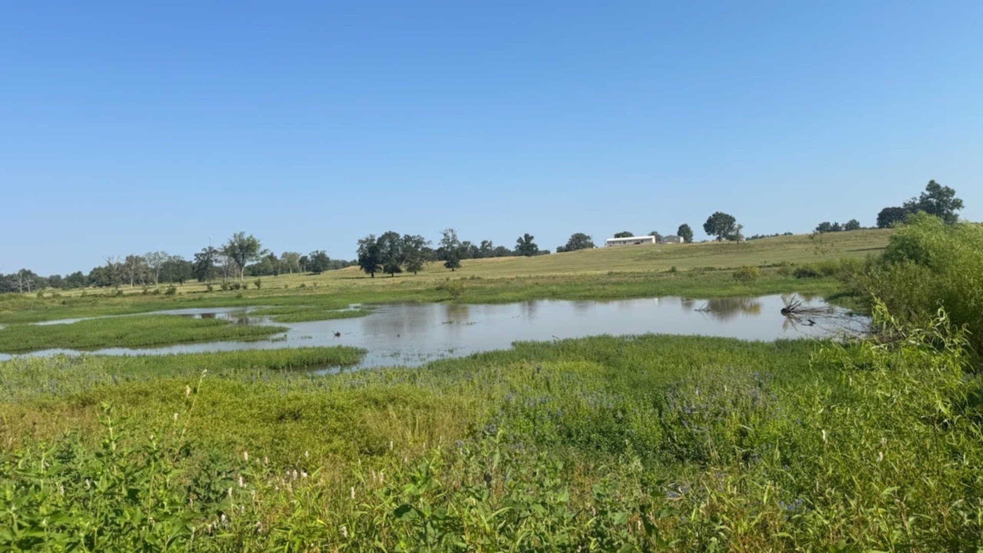 362 acres in Franklin (TX) County