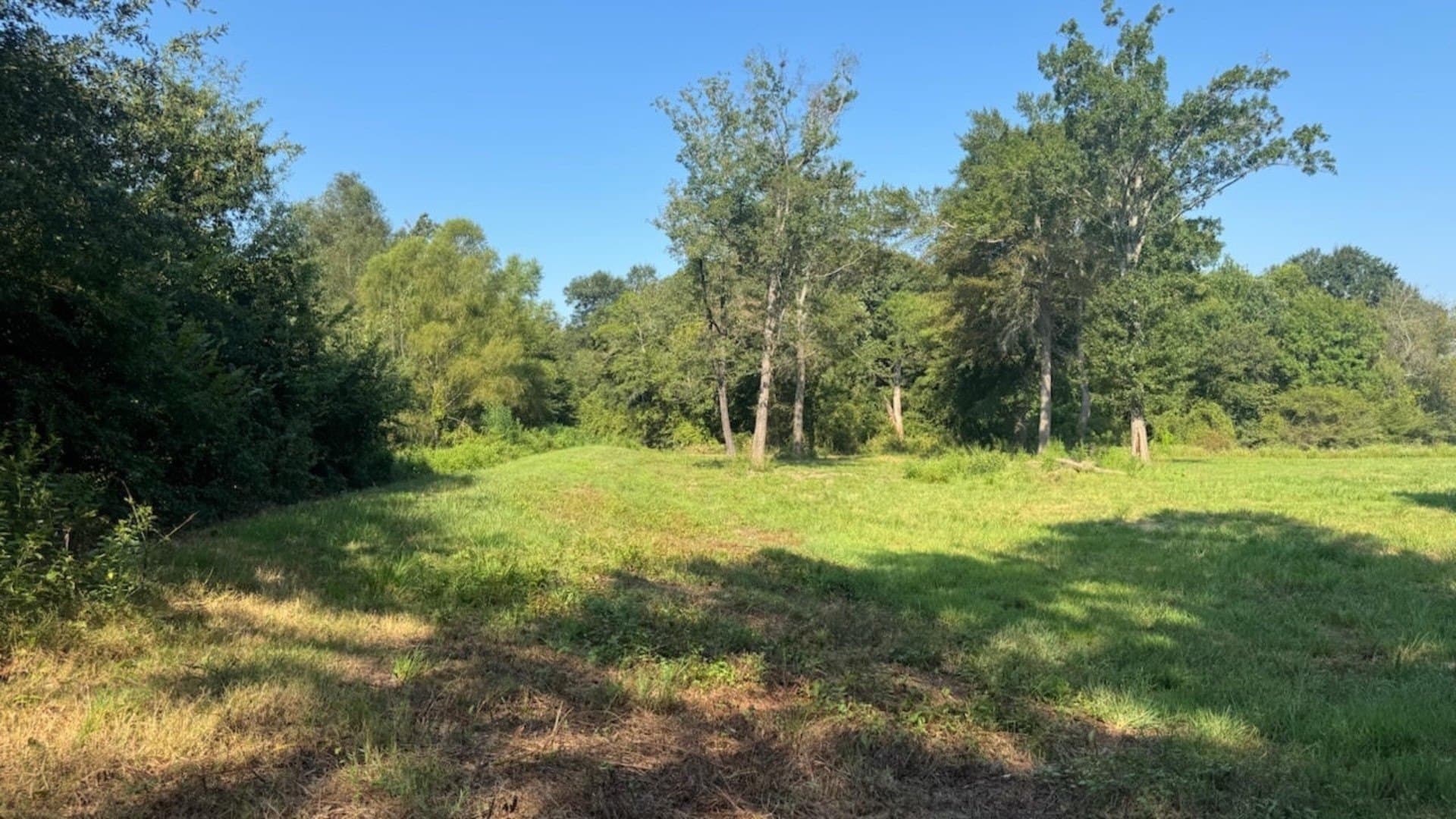 362 acres in Franklin (TX) County - photo 19