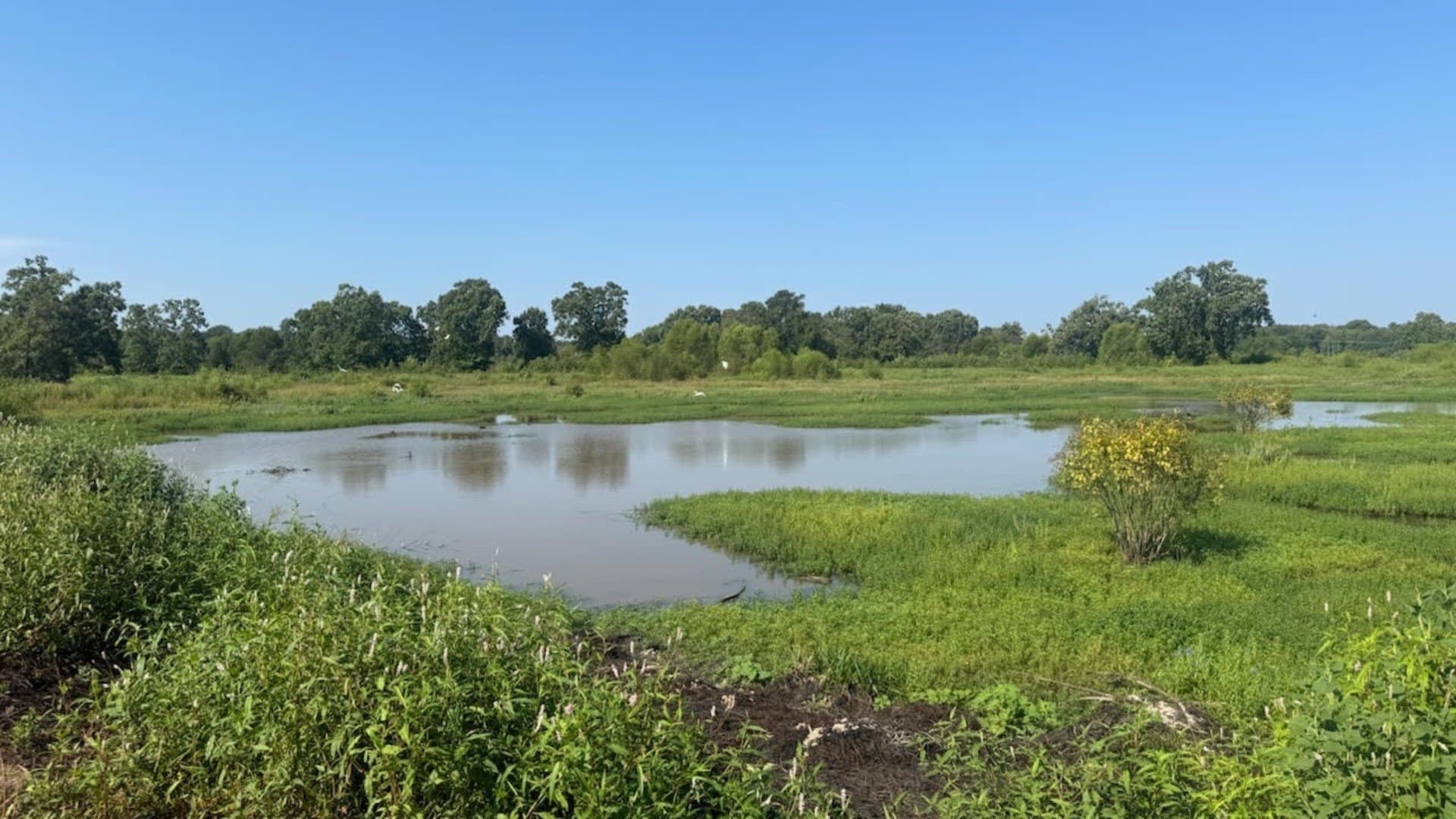 362 acres in Franklin (TX) County - photo 21