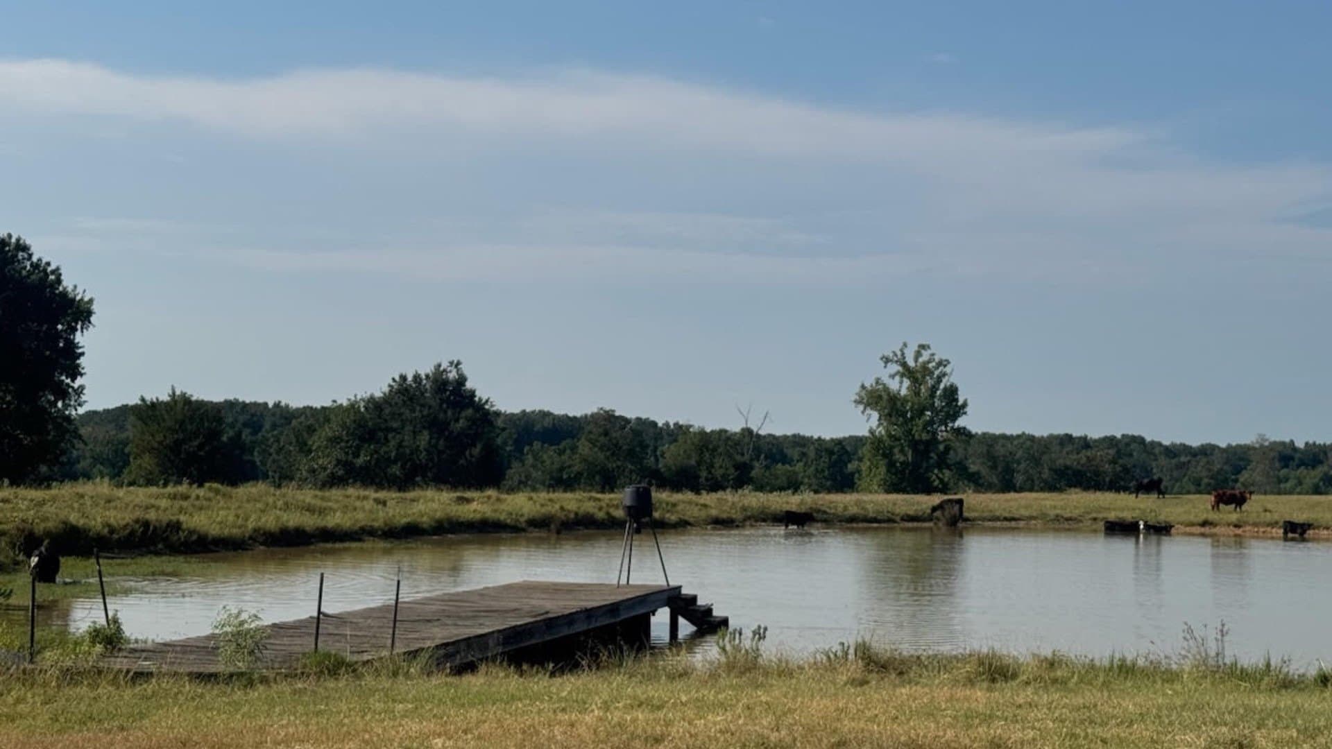 362 acres in Franklin (TX) County - photo 32