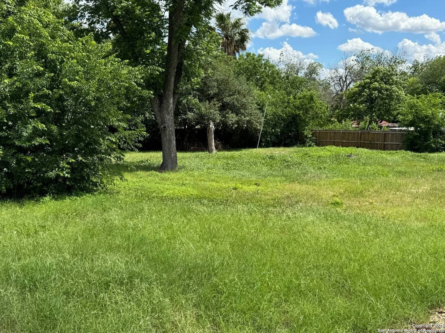 0.4 acres in Bexar County - photo 5