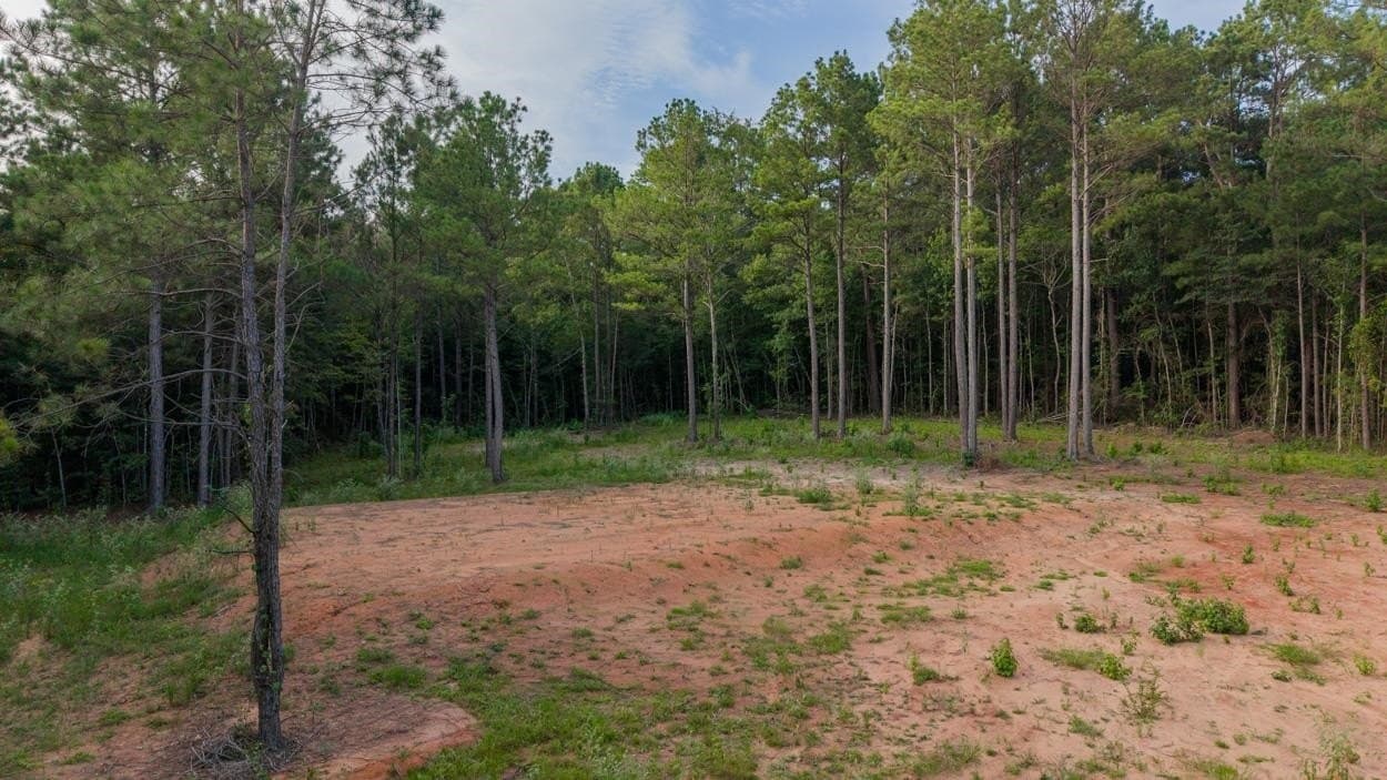 6.06 acres in Cass County - photo 8