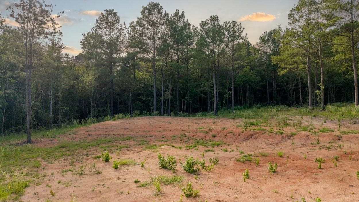 6.06 acres in Cass County gallery image 4