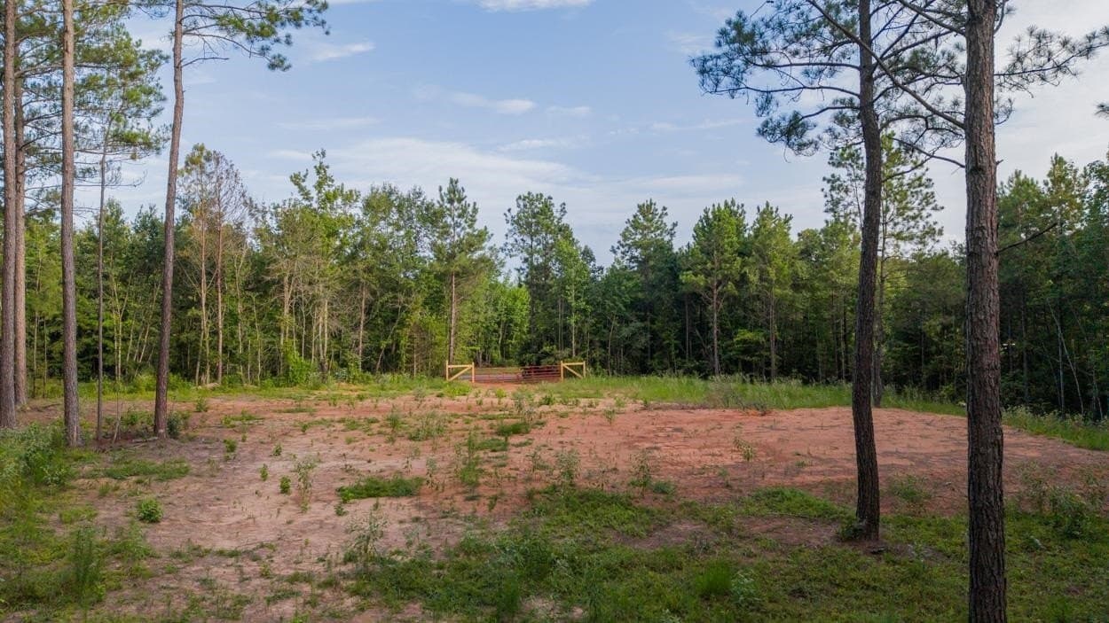 6.06 acres in Cass County - photo 6