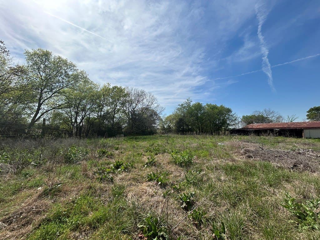 168 acres in Henderson County - photo 12