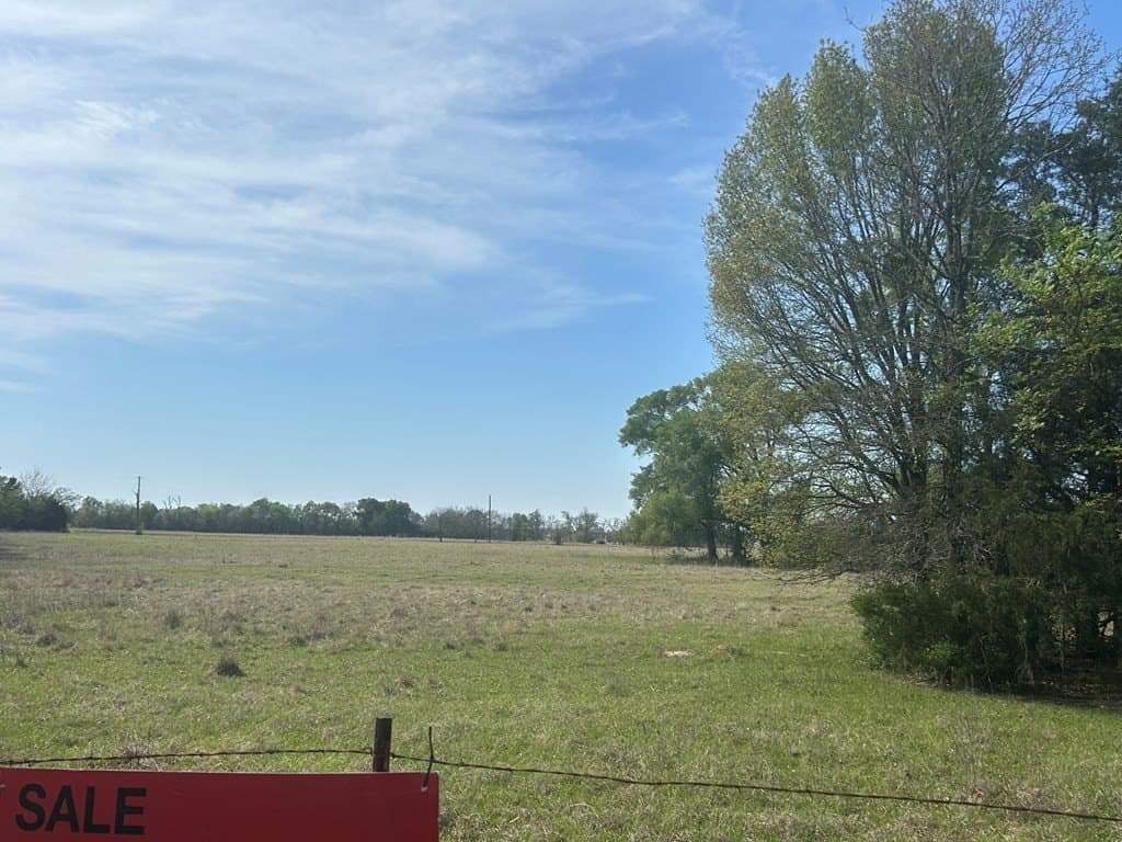 168 acres in Henderson County - photo 19