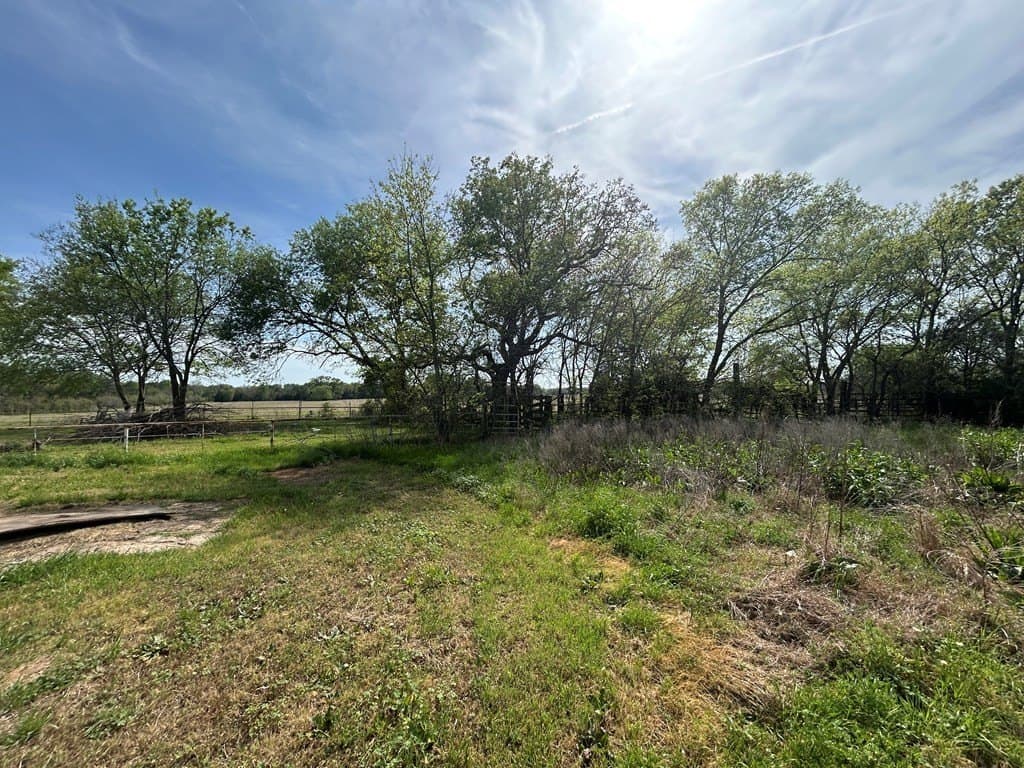 168 acres in Henderson County - photo 6