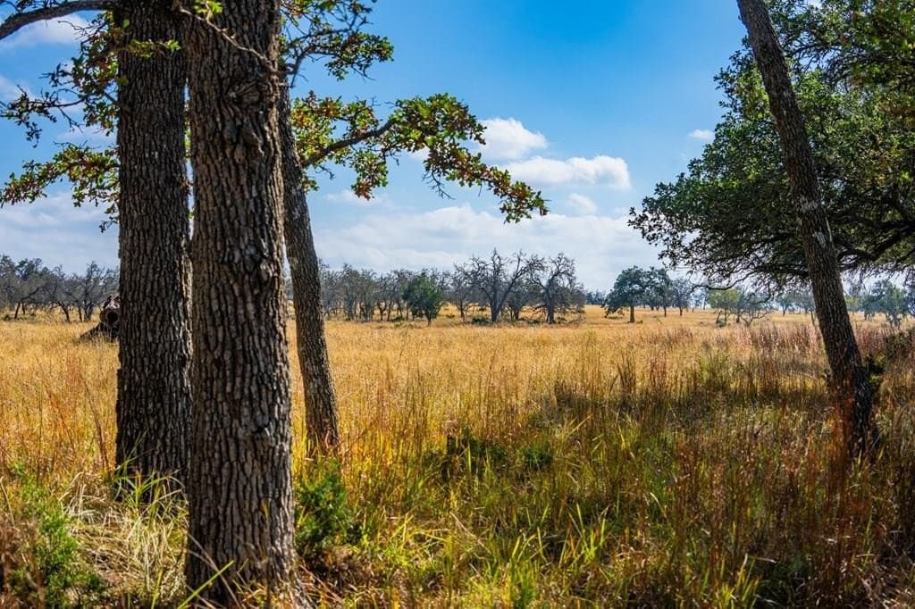 6.3 acres in Gillespie County