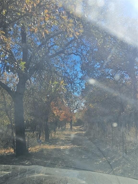 20.99 acres in Jones County gallery image 3