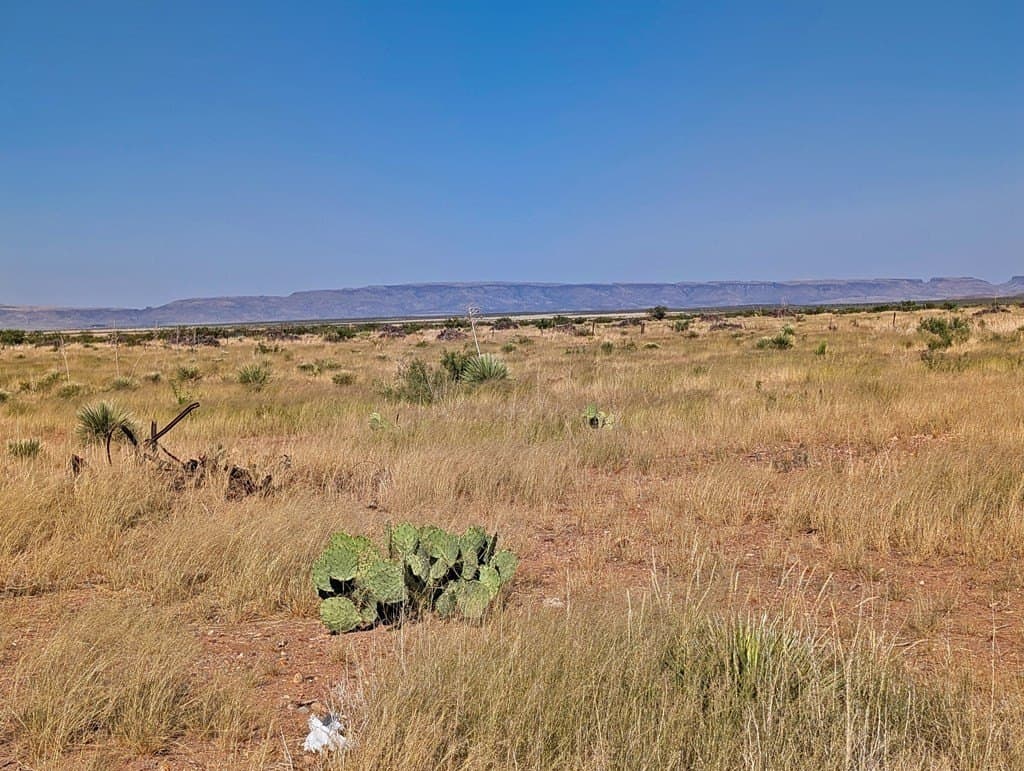 1.31 acres in Jeff Davis County - photo 3